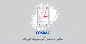 تحلیل بررسی فوزباک