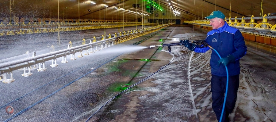 Disinfecting the poultry environment