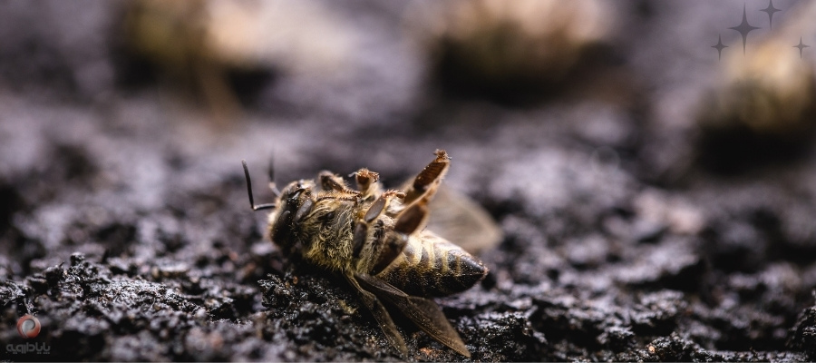 روش های درمان